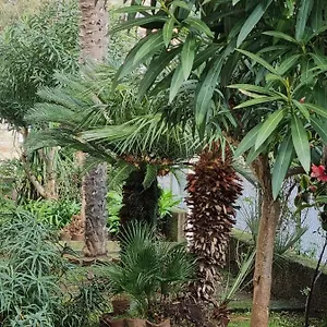 https://la-perle-marine.hotelitalianriviera.com